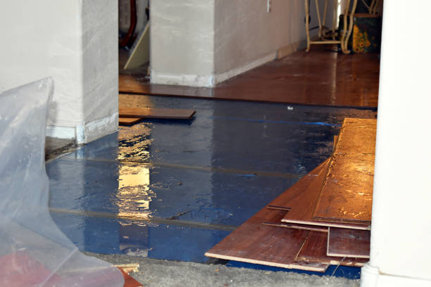 Professional Burst Pipe Cleanup technician working in Blaine, WA